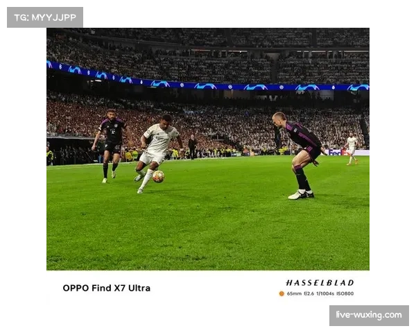 温布利球场启动2027年欧冠决赛草皮更换工程，采用混合草种技术